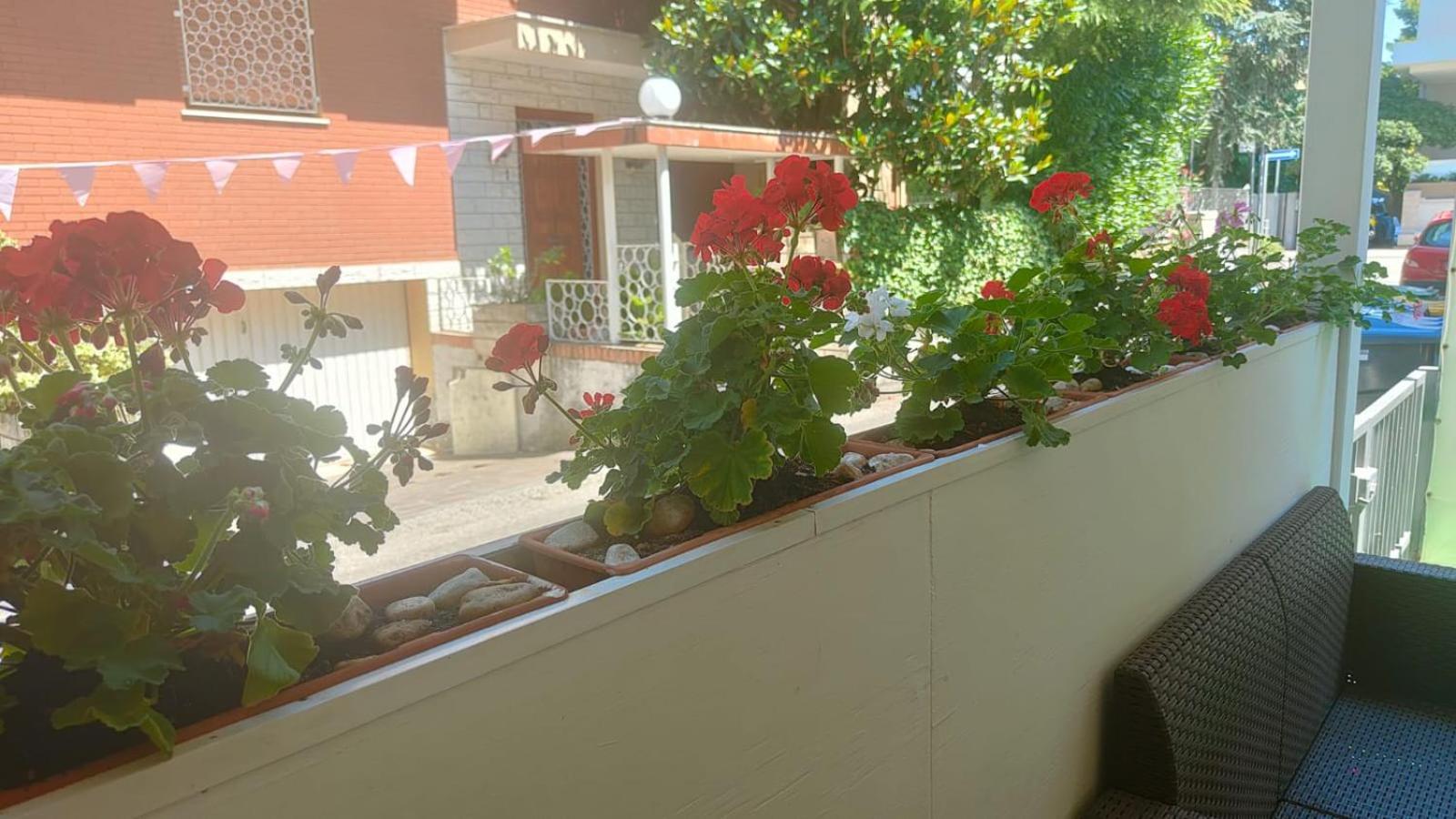 Hotel Eriale Rimini Ngoại thất bức ảnh